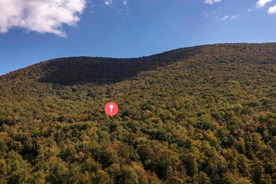 0 Tower Rd unit 28, Dorset, VT 05251 - photo 2