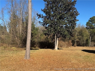 197 Pine Hill Rd, West End, NC 27376 - photo 6