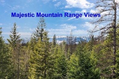 422 Lightning Peak Rd, Sandpoint, ID 83864 - photo 5