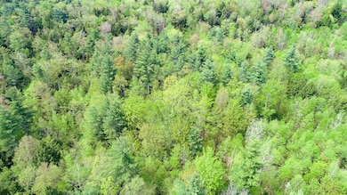 DJI_0338
