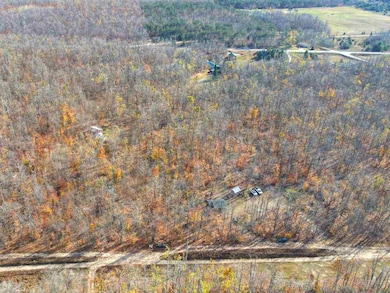 16762 N Sunshine Trail, Vanderbilt, MI 49795 - photo 4