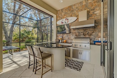 15312 Fishhawk Preserve Dr, Lithia, FL 33547 - photo 6