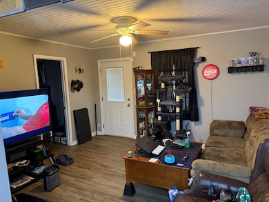 12640 Highway 79, Mc Kenzie, TN 38201 - photo 4