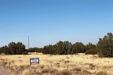 1731 Silver Lake Blvd, Show Low, AZ 85901 - photo 4