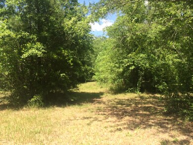 1016 W Mchenry Rd, McHenry, MS 39561 - photo 5