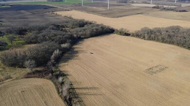 720XX 255th St, Oakland, MN 56007 - photo 4