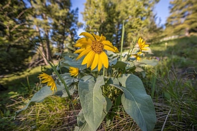 TBD Doolittle Drive Lot #31, Big Sky, MT 59716 - photo 6