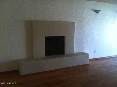Fireplace in Family Room