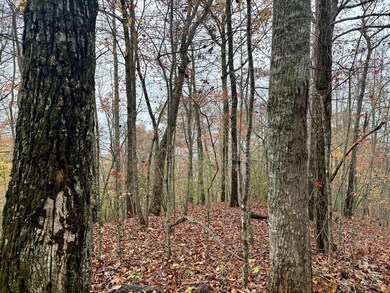 0 Poplar Ridge Ln, Franklin, NC 28734 - photo 4