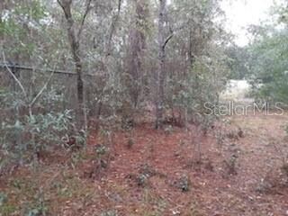 0 SW Sunnydale St, Dunnellon, FL 34431 - photo 3