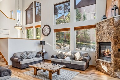 Living room featuring a stone fireplace, a high ce