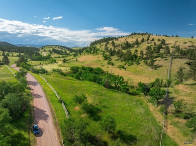 TBD Cobb Rd, Custer, SD 57730 - photo 2