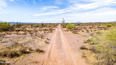 Road to property - Facing west