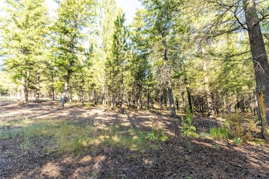 14297 Caddisfly Ct, Clinton, MT 59825 - photo 3