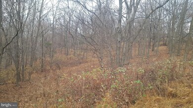 0 High View Rd unit WVHS114982, Purgitsville, WV 26852 - photo 7