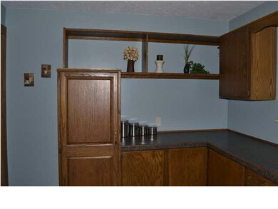 Pantry and decorative shelving.