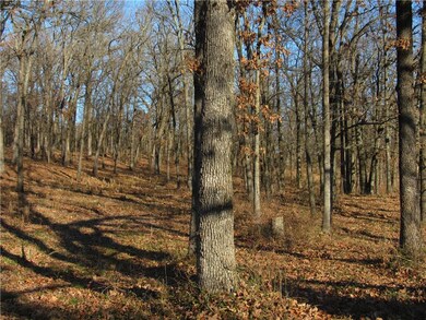 TBD LOT 4 Highway 43, Siloam Springs, AR 72761 - photo 4