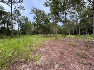16051 SW 44 St, Ocala, FL 34481 - photo 4