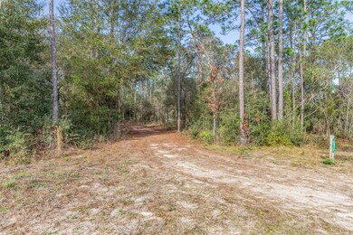 2974 SW 171st Ct, Dunnellon, FL 34432 - photo 4