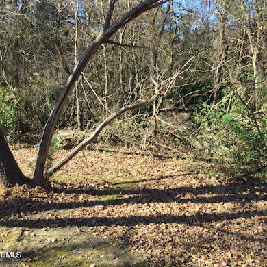 000 Gant Rd, Graham, NC 27253 - photo 3