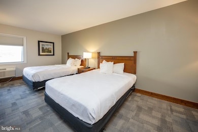 290 Marsh Hill Rd unit 319C, Mc Henry, MD 21541 - photo 5