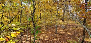 128 McClarity Fork Rd Pound Fork Rd, Branchland, WV 25506 - photo 6