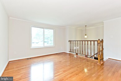 4410 Vantage Ct, Alexandria, VA 22306 - photo 5