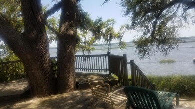 Beautiful oaks!