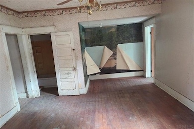 110 W Lithia St, Attica, IN 47918 - photo 3