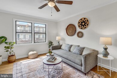 613 Hamlin St NE unit 11, Washington, DC 20017 - photo 5