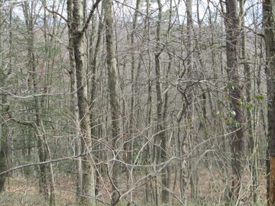 0 W 13 Th St, Jim Thorpe, PA 18229 - photo 5