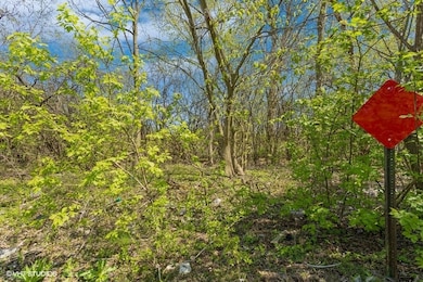 1630 Myrtle Park St, Roselle, IL 60172 - photo 2