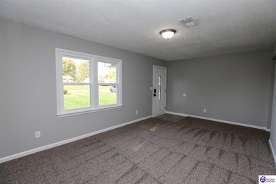 113 E Tophill Terrace, Elizabethtown, KY 42701 - photo 5