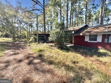 4421 Albert Rahn Rd, Glennville, GA 30427 - photo 4