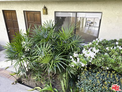 Front Door and Foliage
