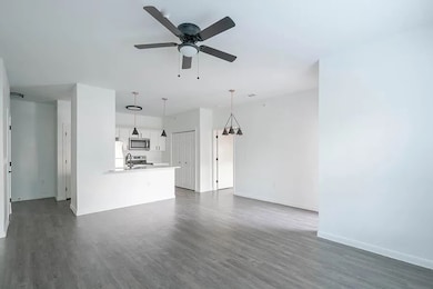 520 Fm 306 unit 3205, New Braunfels, TX 78130 - photo 3