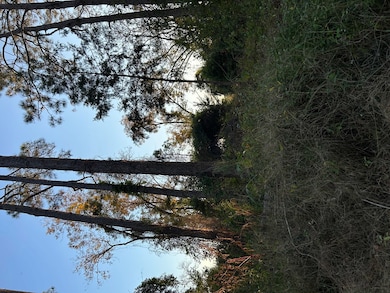 0 Bonaire St unit 23852, Mc Rae, GA 31055 - photo 2