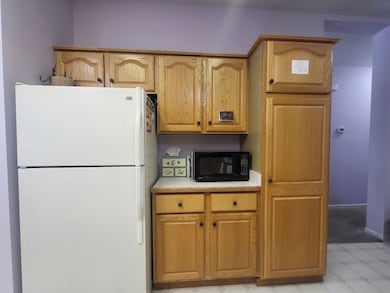 1089 Candlewood Rd unit 366, Elgin, IL 60123 - photo 6