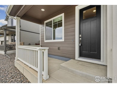5978 Amerifax Dr, Windsor, CO 80528 - photo 6