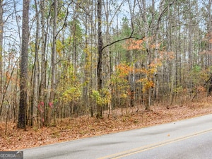 130 N Morgan Dr, Griffin, GA 30223 - photo 3