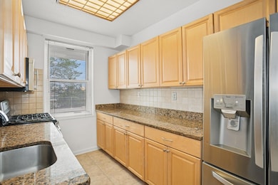 The Blue Building unit 1K, Bronx, NY 10463 - photo 4