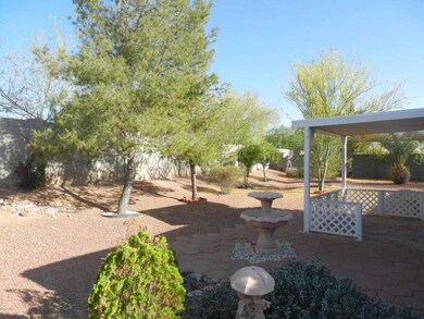 backyard1