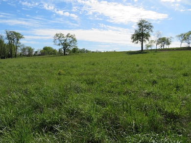 990 Craig Crossing Rd, Winchester, KY 40391 - photo 6