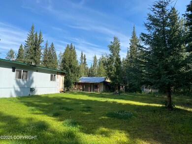 2812 Fales Rd, Delta Junction, AK 99737 - photo 4