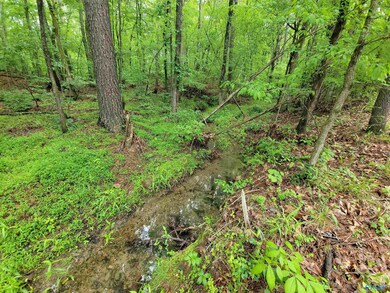 2.5 Aqua Vista Dr E, Tidmore Bend, AL 35901 - photo 5