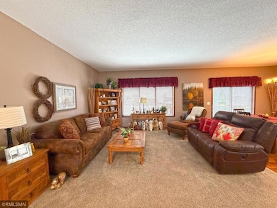 4463 87th St NE, Monticello, MN 55362 - photo 7