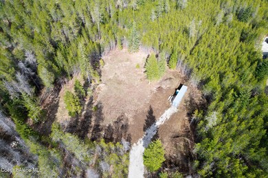 Spring Aerial 6
