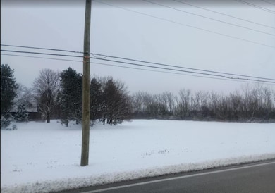 Vacant Lot W 167th St, Homer Glen, IL 60441 - photo 3