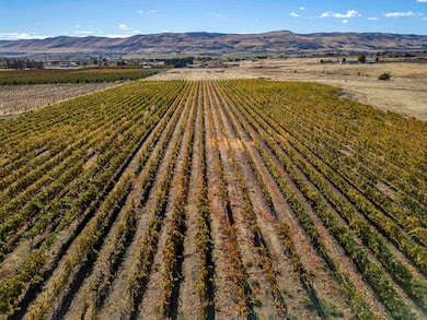 22207 W Gerrick Rd, Benton City, WA 99320 - photo 7