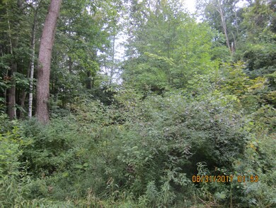 Landscape of the parcel